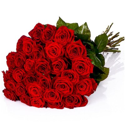 Červené růže Červené růže